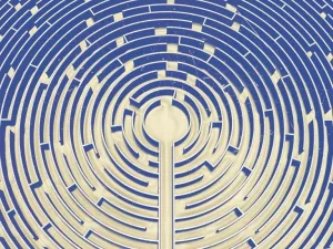 Dementia Types Identification: A Friendly, Clear Guide