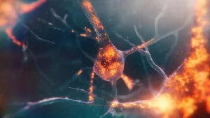 Early Dementia Detection: How New Tools Offer Hope Now