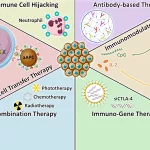 Enhanced Immunotherapy via Responsive Nanomaterials