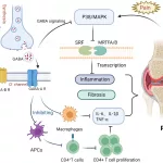 The GABA System Explained: Calm, Sleep & Mood Boost The GABA System Explained: Calm, Sleep & Mood Boost