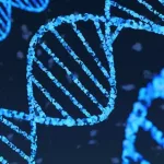 Gene Therapy Benefits: A New Hope for Patients Gene Therapy Benefits: A New Hope for Patients