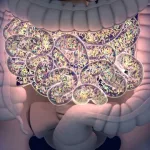 GI Tract Biomarkers: Why They Matter for Your Health