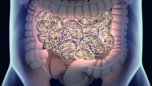GI Tract Biomarkers: Why They Matter for Your Health