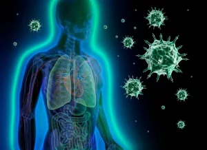 Human Immune Response Explained: How Your Body Fights