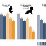 Infant Mortality Study: Why Rates Drop Yet Risks Rise
