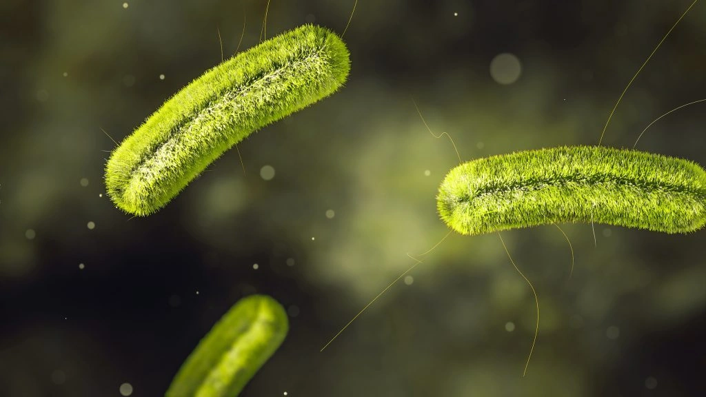Listeria Contamination – What You Need to Know Right Now