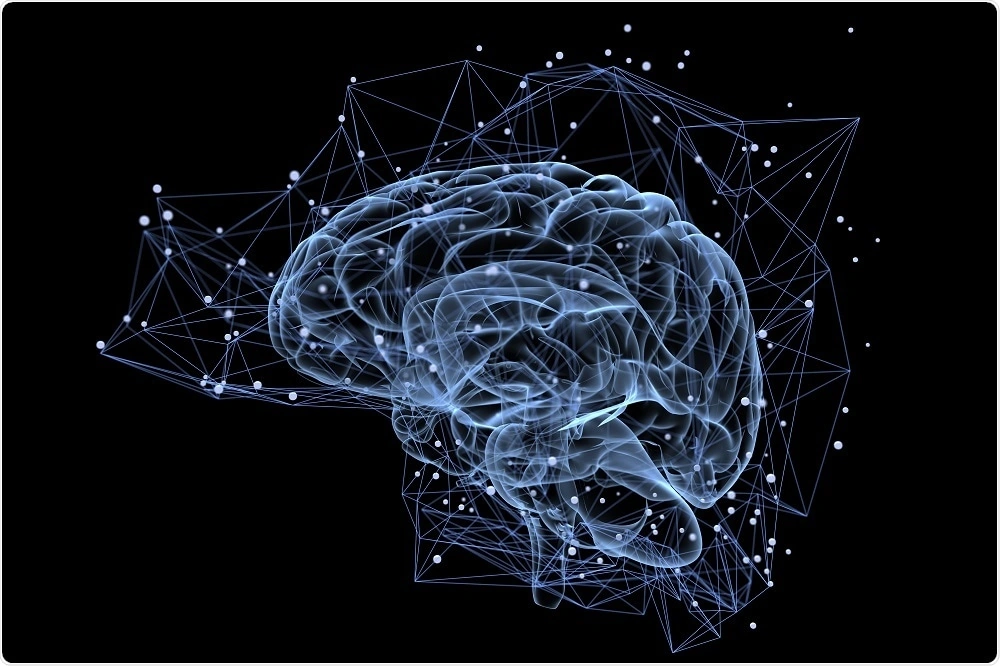 Memory Formation: How Your Brain Stores Experiences