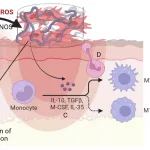 Molecular Imaging Inflammation: PET’s New Brain Clarity Molecular Imaging Inflammation: PET’s New Brain Clarity