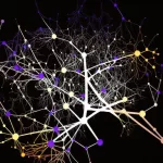 Neural Activity Patterns: How They Drive Daily Choices Neural Activity Patterns: How They Drive Daily Choices