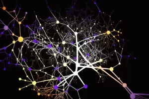 Neural Activity Patterns: How They Drive Daily Choices Neural Activity Patterns: How They Drive Daily Choices