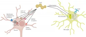 Neurosteroid Drugs: Fast Relief, How They Work & What to Expect Neurosteroid Drugs: Fast Relief, How They Work & What to Expect