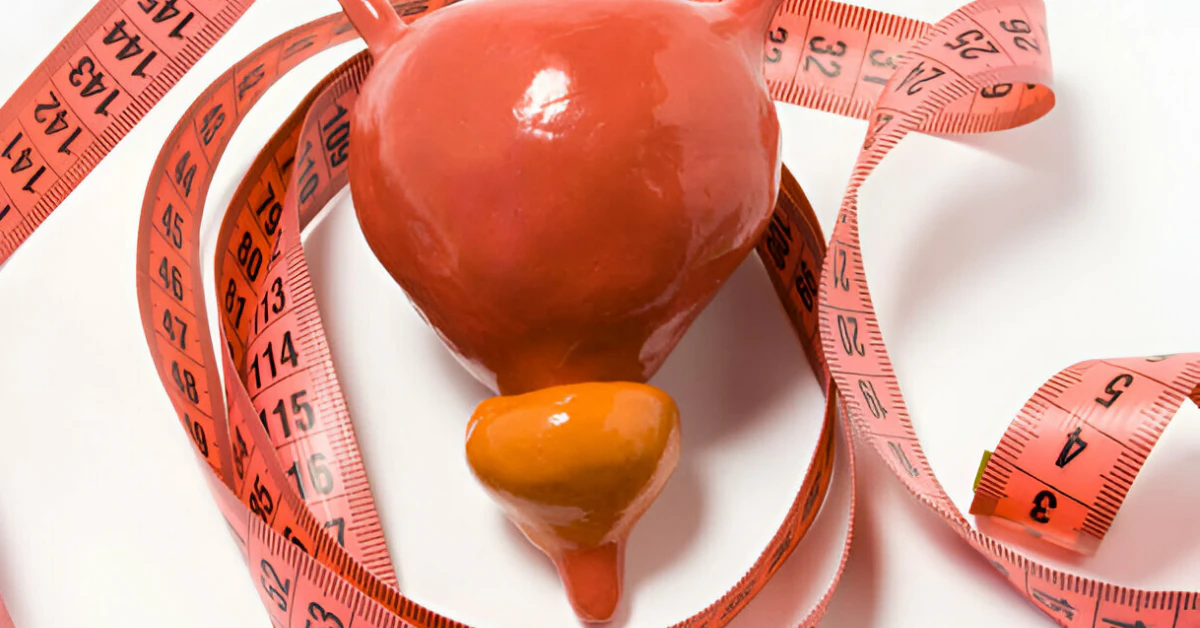 Normal Prostate Size by Age: What’s Healthy?