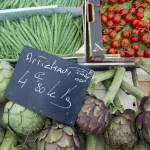 Overweight Adults: Simple Steps to Healthier Living