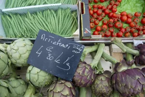 Overweight Adults: Simple Steps to Healthier Living