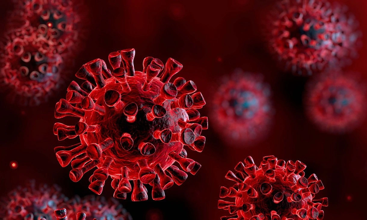 Understanding the Pandemic Source: What You Need to Know