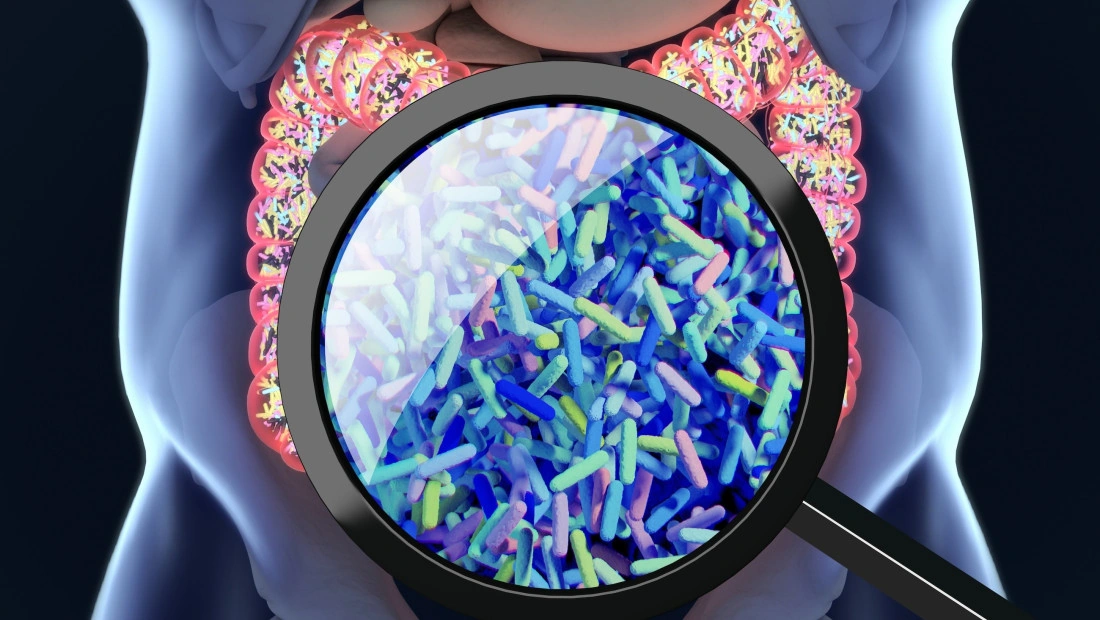 Pesticide Toxicity Gut: Essential Facts for Your Health