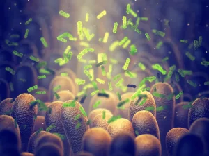 Probiotics Pesticides: Can Bacteria Protect Your Gut? Probiotics Pesticides: Can Bacteria Protect Your Gut?