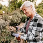 Understanding the Medicare Voucher System for You