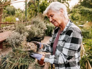 Understanding the Medicare Voucher System for You