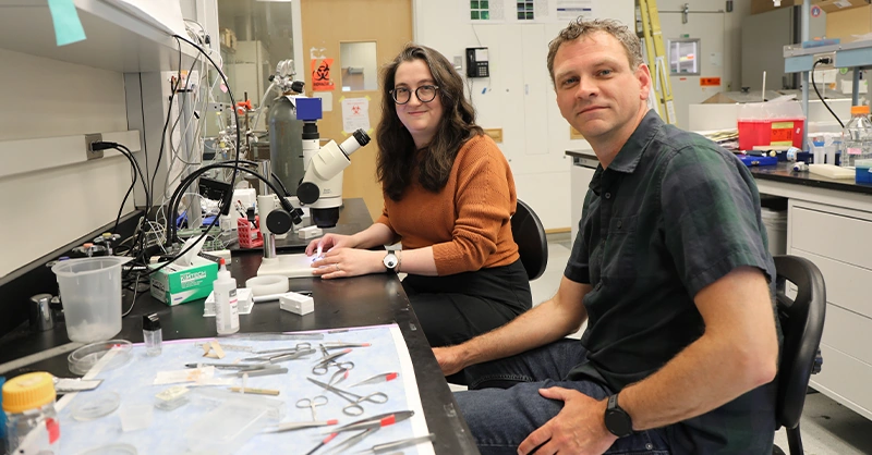 Synaptic Connections: Boost Brain Health & Learning