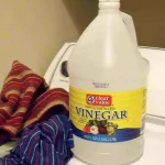 Why Using Vinegar in Laundry Makes Your Clothes Cleaner Why Using Vinegar in Laundry Makes Your Clothes Cleaner
