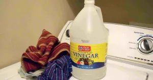 Why Using Vinegar in Laundry Makes Your Clothes Cleaner Why Using Vinegar in Laundry Makes Your Clothes Cleaner