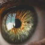 Master Visual Focus: Elevate Performance & Clarity Master Visual Focus: Elevate Performance & Clarity