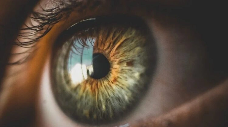 Master Visual Focus: Elevate Performance & Clarity
