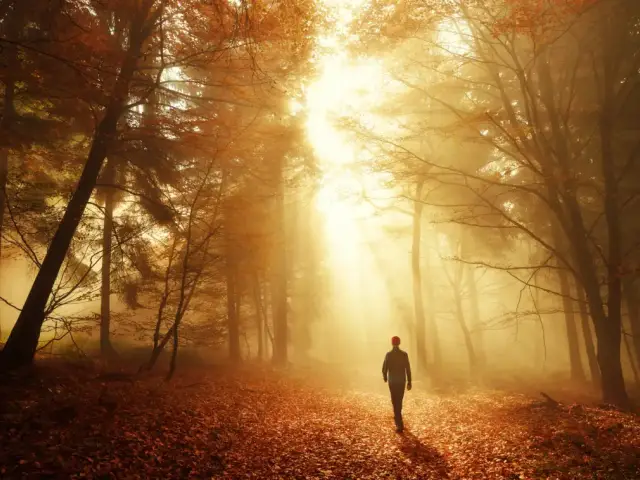 Mind-Wandering Benefits: Why Day‑Dreaming Works for You