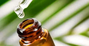 What Is Spanish Fly? Truth Behind the Myth What Is Spanish Fly? Truth Behind the Myth