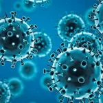 WHO coronavirus investigation: key findings revealed WHO coronavirus investigation: key findings revealed