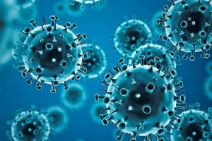 WHO coronavirus investigation: key findings revealed
