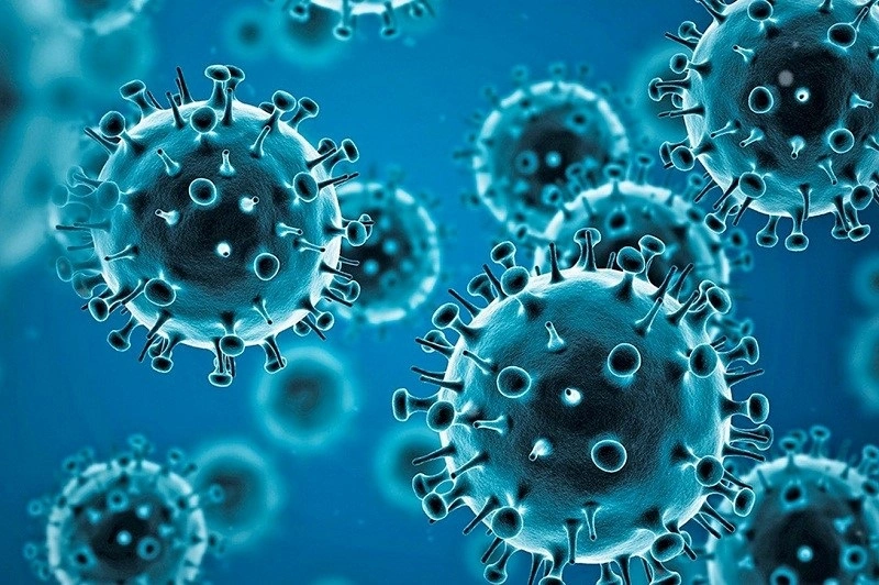 WHO coronavirus investigation: key findings revealed