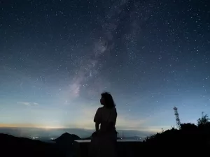 Dark Nature Therapy: Night Outdoors Boosting Health