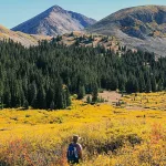 Clear Spring Medicare Advantage Overview Guide 2025