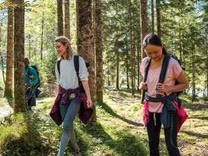 Lyme Disease Anemia: Causes, Symptoms & Treatment Guide