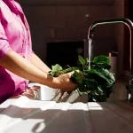 Diabetes Lunch Recipes: Quick, Healthy Ideas for Every Day