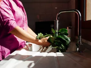 Diabetes Lunch Recipes: Quick, Healthy Ideas for Every Day