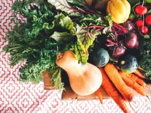 Fall Seasonal Foods: Fresh Flavors, Recipes & Smart Storage