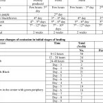 Age of Bruises Forensic Guide