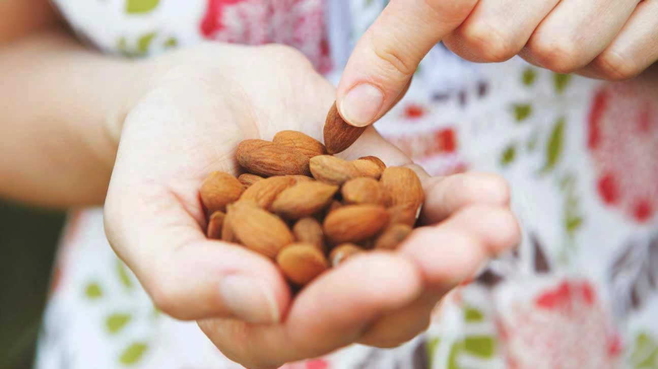 Are Nuts Hard to Digest at Night? The Sleep Snack Dilemma (And Why We Still Love Them)