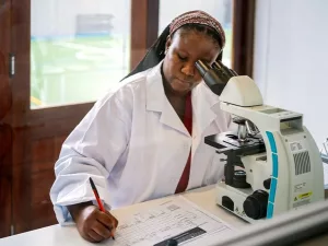 Platelet Structure Function: Fueling Saving Actions