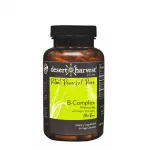 B Complex without B6 and B9: Wellness Boost