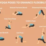 Easy Beginner Yoga Poses for Flexibility