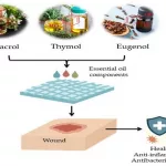 Can I Put Essential Oil on an Incision?