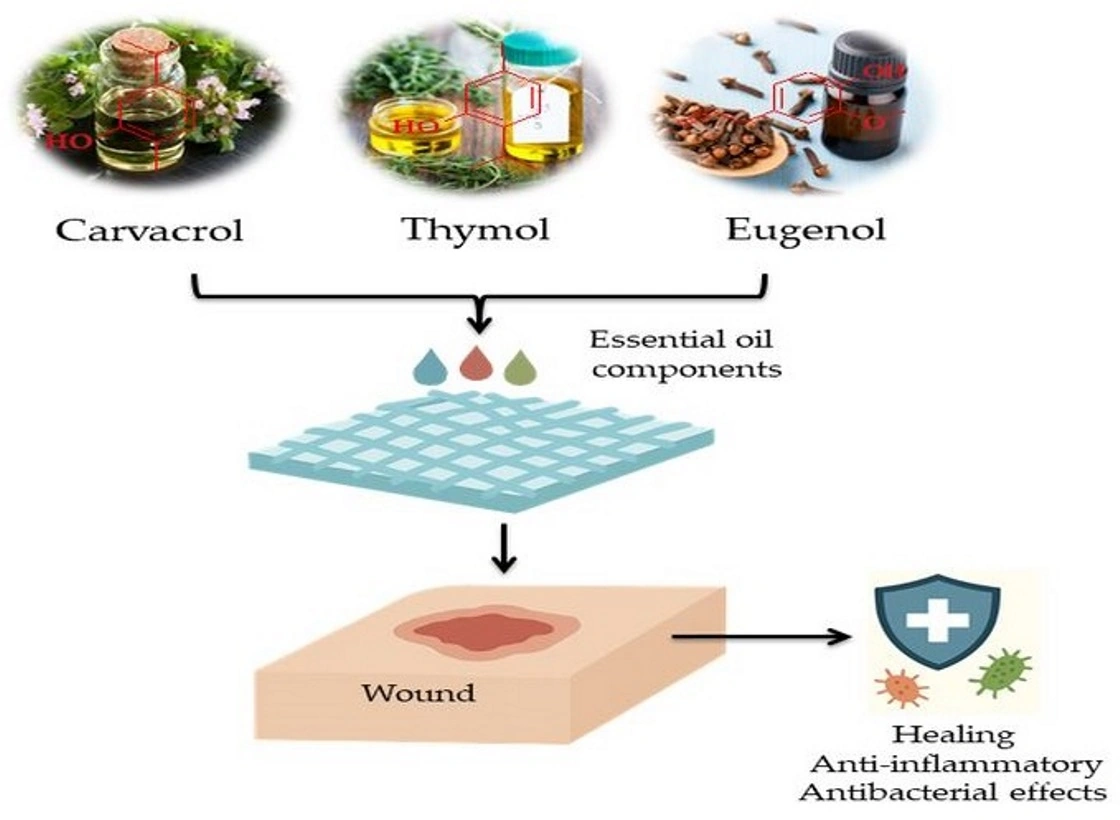 Can I Put Essential Oil on an Incision? The Real Talk for Curious Healers
