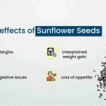 Can Sunflower Seeds Cause Diarrhea? Key Facts