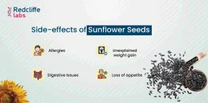 Can Sunflower Seeds Cause Diarrhea? The Real Scoop on This Crunchy Snack Can Sunflower Seeds Cause Diarrhea? The Real Scoop on This Crunchy Snack