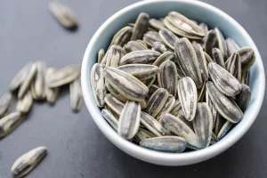 Can Sunflower Seeds Cause Digestive Problems? Here’s What Most People Miss
