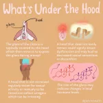 Clitoris Pain and Swelling: Causes and Fixes